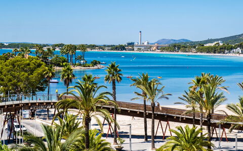 Mariners 4: Palm Tree, Beach, Tree, Vacation, Coast, Sea, Azure, Sky, Shore, Bay