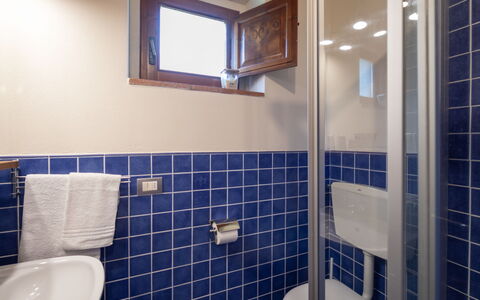 Greve in Chianti 951: Wall, Flooring, Floor, Plumbing Fixture, Interior Design, Tile, Bathroom, Composite Material, Plumbing, Tap