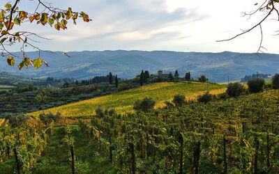 Greve in Chianti 951