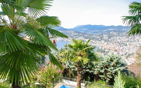 Aldesago 525: Tree, Vegetation, Palm Tree, Arecales, Desert Palm, Plant, Elaeis, Woody Plant, Tropics, Botany