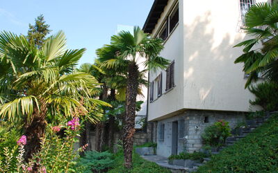 Aldesago 525