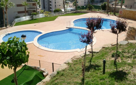 Torre Maestral: Water, Plant, Property, Building, Swimming Pool, Tree, Urban Design, Grass, Shade, Residential Area