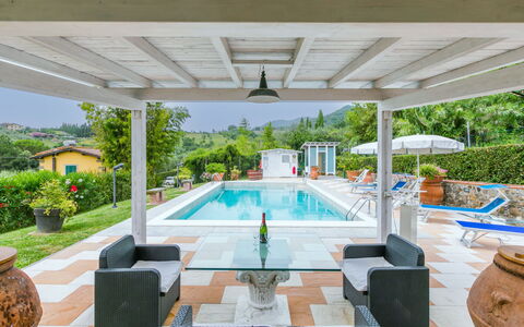 Al Melo: Water, Plant, Property, Swimming Pool, Shade, Outdoor Furniture, Window, Interior Design, Tree, Building
