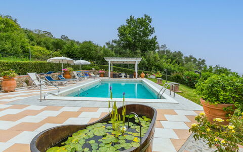 Al Melo: Plant, Water, Sky, Building, Swimming Pool, Outdoor Furniture, Tree, Shade, Umbrella, Leisure