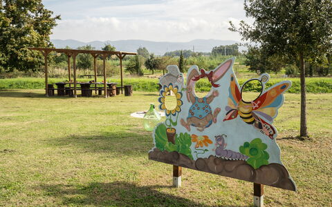 Incanto Toscano: Plant, Cloud, Tree, Sky, Land Lot, Leisure, Art, Grass, Grassland, Recreation