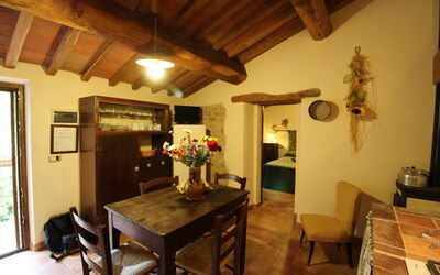 Accommodation:&nbsp;Olinto