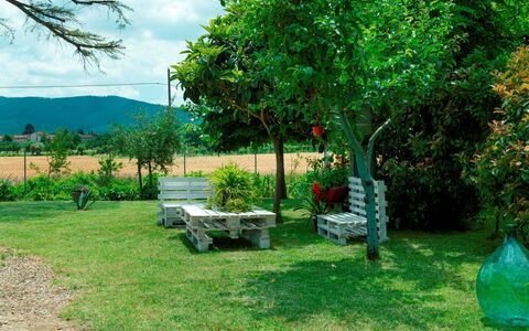 Podere i Gigli: Plant, Sky, Green, Plant Community, Cloud, Tree, Outdoor Bench, Natural Landscape, Land Lot, Grass
