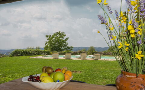 Villa la Piaggia: Yellow, Flower, Grass, Spring, Plant, Flowerpot, Meadow, Wildflower, Landscape, Landscaping