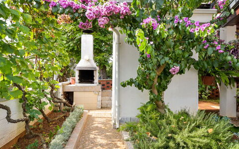 Vir 119: Flower, Plant, Property, Building, Petal, Vegetation, Architecture, Shrub, Real Estate, Facade