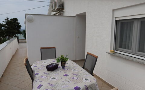 Vir 119: Property, Furniture, Plant, Window, Table, Building, Sky, Houseplant, Chair, Shade