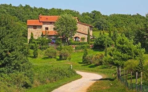 Gaiole in Chianti 880: Plant, Sky, Building, Natural Landscape, Land Lot, House, Tree, Cottage, Grass, Shrub
