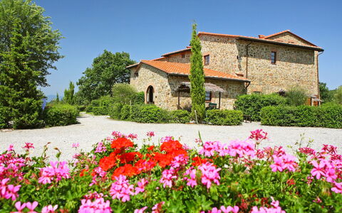 Gaiole in Chianti 880: Flower, Plant, Sky, Property, Window, Building, Petal, Botany, House, Tree
