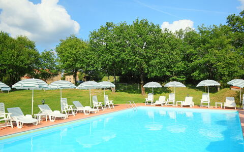 Gaiole in Chianti 880: Water, Cloud, Sky, Plant, Furniture, Swimming Pool, Umbrella, Chair, Tree, Outdoor Furniture