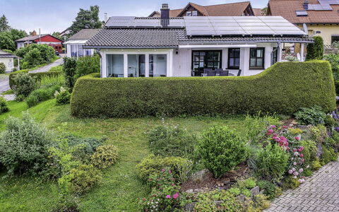 Nest: Plant, Property, Building, Sky, Plant Community, Window, Flower, Land Lot, Vegetation, Grass