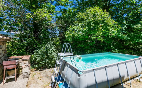Casale Fonte: Plant, Plant Community, Water, Shade, Swimming Pool, Outdoor Furniture, Grass, Wood, Tree, Leisure