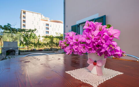 Adriana: Pink, Flower, Flowerpot, Bouquet, Plant, Purple, Cut Flowers, Floral Design, Tree