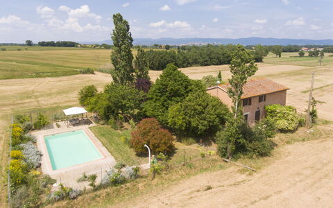 Le Nuvole: Plant, Sky, Cloud, Property, Plant Community, Window, Azure, Tree, Natural Landscape, Land Lot