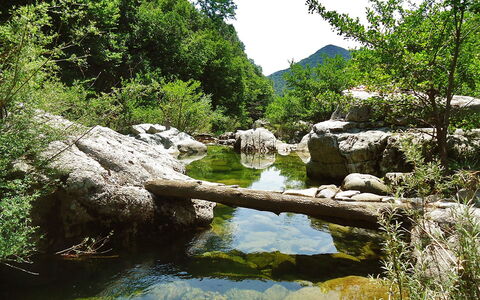 Il Casale: Body Of Water, Water Resources, Natural Landscape, Riparian Zone, Nature Reserve, Watercourse, Nature, Vegetation, Stream, Water