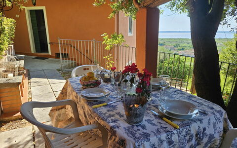 Collina Lagomare: Furniture, Chair, Table, Tablecloth, Outdoor Furniture, Kitchen & Dining Room Table, Linens, Outdoor Table, Drinkware, Dining Room