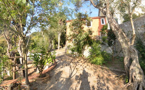 Collina Lagomare: Property, Tree, Real Estate, House, Road, Plant, Building, Plant Community, Landscape, Estate