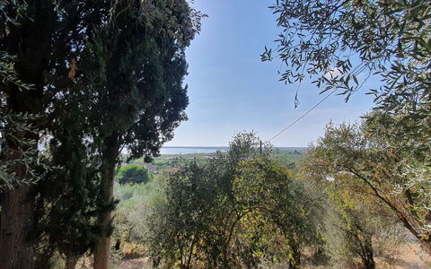 Collina Lagomare: Sky, Plant Community, Plant, Natural Landscape, Cloud, Vegetation, Tree, Twig, Wood, Trunk