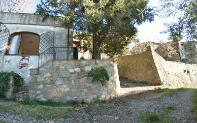 La Cipressa