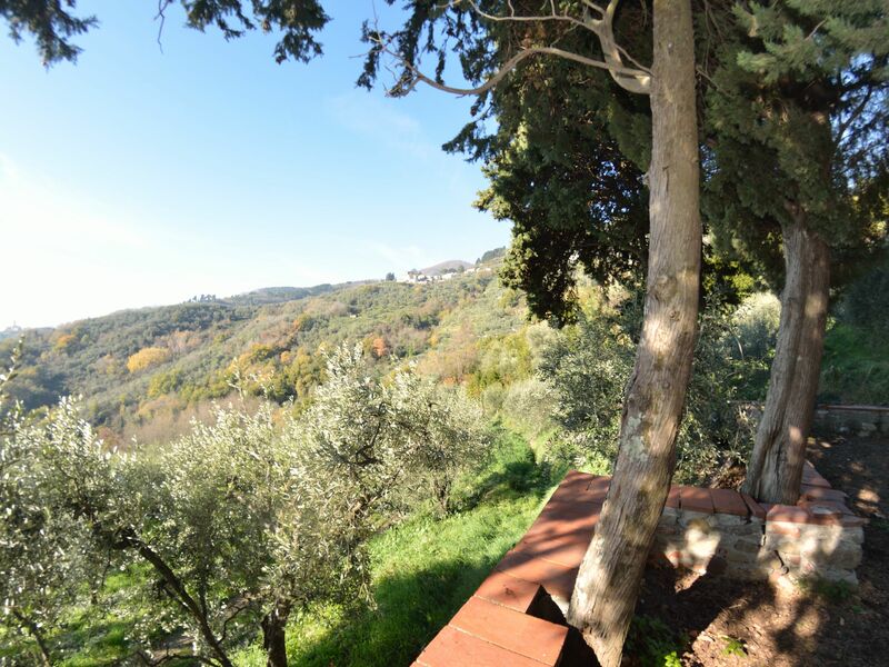 La Cipressa