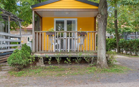 Sunset Terrace: Cottage, Shed, Garden Buildings, Shade, Yard, Log Cabin, Siding, Porch, Backyard