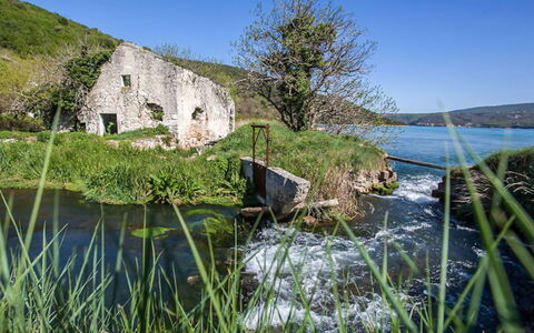 Klen 2: Body Of Water, Water, Natural Landscape, Nature, Vegetation, Green, Grass, Coast, Sea, Bank