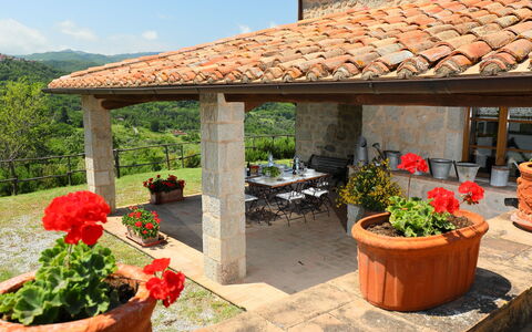 Podere dei Venti: Property, Patio, Building, Backyard, Landscaping, Pergola, Real Estate, Yard, Landscape, Garden