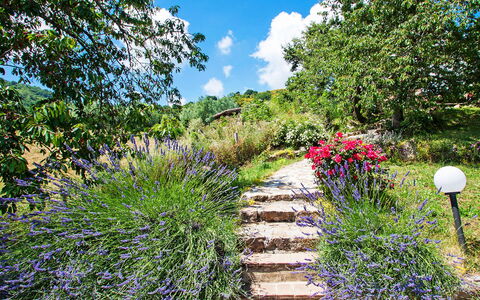 Arcidosso 800: Garden, Vegetation, Walkway, Flower, Botanical Garden, Plant, Natural Landscape, Nature Reserve, Botany, Grass