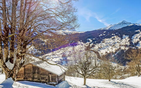 Chalet Hobelbank: Snow, Winter, Branch, Nature, Mountainous Landforms, Mountain, Natural Landscape, Landscape, Glacial Landform, Mountain Range