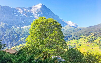 Chalet Hobelbank - Grindelwald, Bern, Switzerland