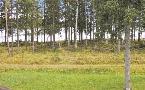 Purnuranta B: Wood, Cottage, Log Cabin, Forest, Shed, Garden Buildings, Larch, Woodland, Wood Stain