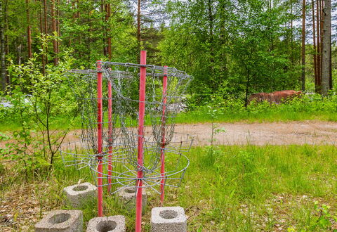 Kainaloranta: Plant Community, Groundcover, Forest, Woodland, Grove, Garden, Soil, Park