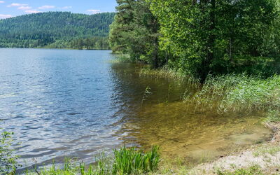 Loma-Koli 3
