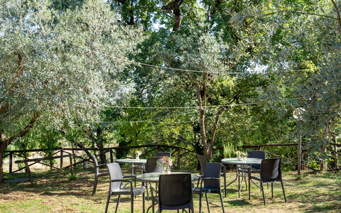 Poggio Cuccule: Plant, Table, Plant Community, Tree, Shade, Natural Landscape, Vegetation, Outdoor Furniture, Grass, Woody Plant