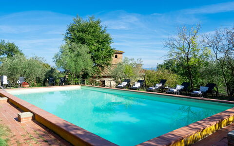 Poggio Cuccule: Water, Cloud, Sky, Property, Plant, Swimming Pool, Blue, Azure, Tree, Rectangle