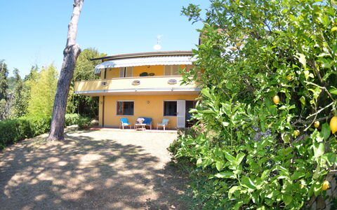 Il Corbezzolo: Property, House, Real Estate, Building, Home, Cottage, Tree, Villa, Estate, Land Lot