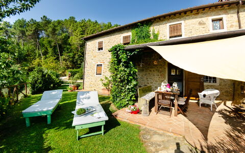 Podere L'istrice: Property, House, Building, Backyard, Yard, Home, Real Estate, Architecture, Room, Grass