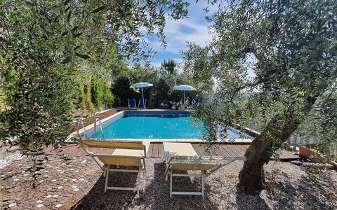 Podere San Martino: Water, Swimming Pool, Cloud, Sky, Shade, Tree, Plant, Natural Landscape, Leisure, Landscape