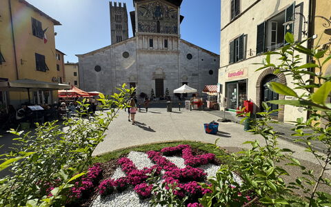 Casina Bella Di Lucca: Building, Window, Town, Facade, Flowerpot, Umbrella, Outdoor Table, Outdoor Furniture, Houseplant, Town Square
