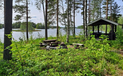 Haapaniemi, Cjoe020: Wood, Cottage, Log Cabin, Forest, Shed, Garden Buildings, Larch, Woodland, Wood Stain