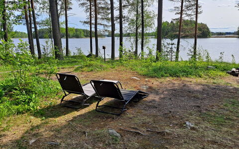 Haapaniemi, Cjoe020: Wood, Cottage, Log Cabin, Forest, Shed, Garden Buildings, Larch, Woodland, Wood Stain