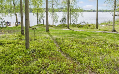 Honkaniemi: Wood, Cottage, Log Cabin, Forest, Shed, Garden Buildings, Larch, Woodland, Wood Stain