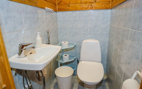 Kissankello: Toilet Seat, Bathroom Sink, Plumbing Fixture, Bathroom, Sink, Flooring, Toilet, Floor, Tap, Interior Design