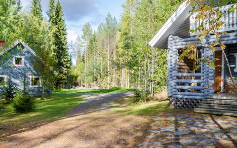 Kissankello: Tree, House, Cottage, Home, Woodland, Siding, Forest, Log Cabin, Garden Buildings, Larch