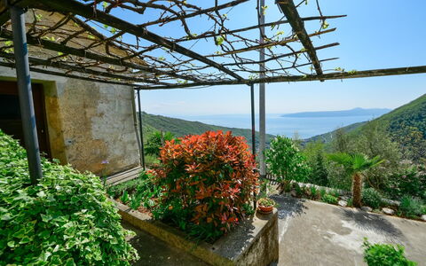Stefi: Garden, Vegetation, Botany, Biome, Sky, Botanical Garden, Plant, Spring, Tree, Architecture