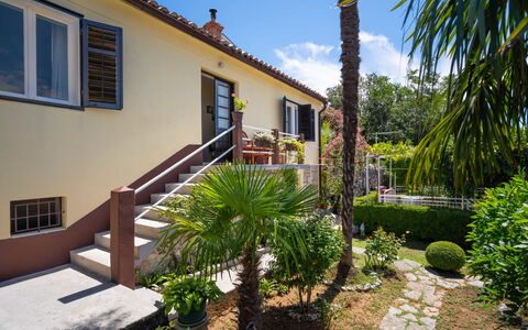 Jelena: Property, House, Real Estate, Building, Home, Residential Area, Estate, Yard, Backyard, Tree