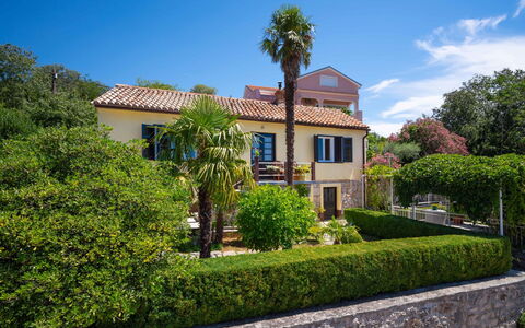 Jelena: Plant, Sky, Building, Cloud, Window, Tree, Vegetation, House, Arecales, Residential Area